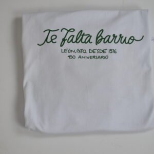 León 450 aniversario - Image 4